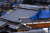 photo4.gif