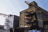 photo5.gif