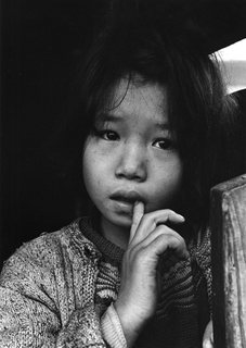 p8_2.jpg