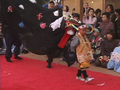 熊本県重要無形民俗文化財　六嘉の獅子舞　～水の郷・嘉島町～