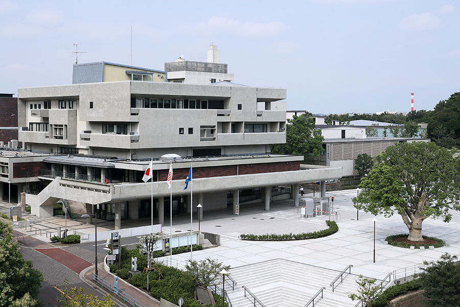 p6_3.jpg