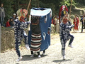 日高川町(旧川辺町).jpg