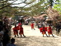 滋賀県 甲賀市.jpg