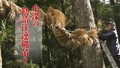 小深の勧請注連縄吊り