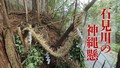 石見川の神縄懸