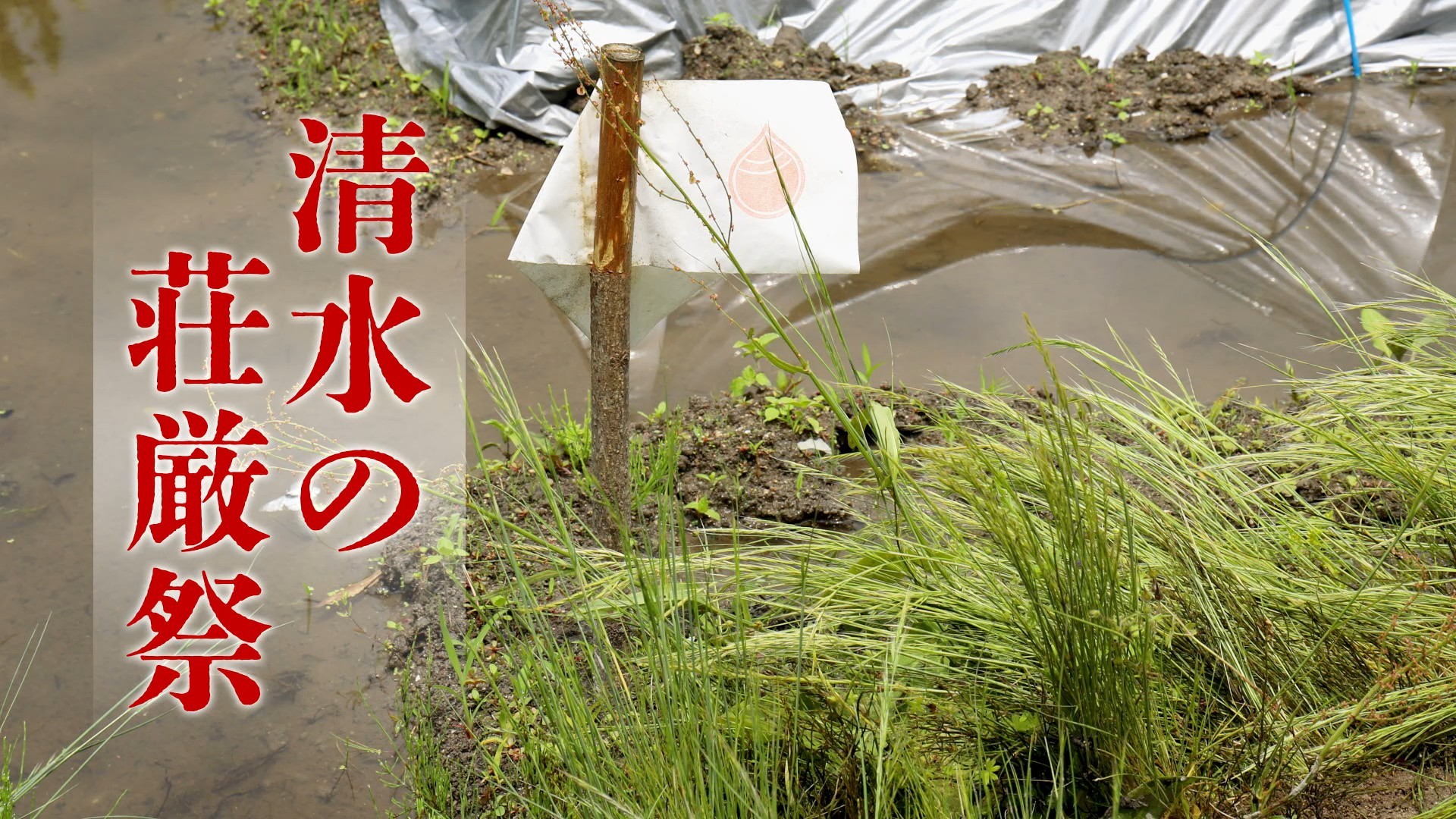 清水の荘厳祭_Web編.jpg
