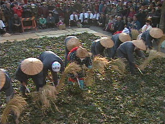 豊川 田遊祭.jpg