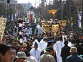 東金砂神社 磯出大祭礼.jpg
