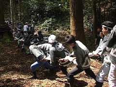 大山神社祭礼 布施の山祭り.jpg
